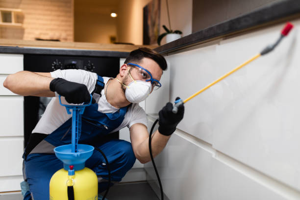 Best Flea Control Services  in Caney, KS
