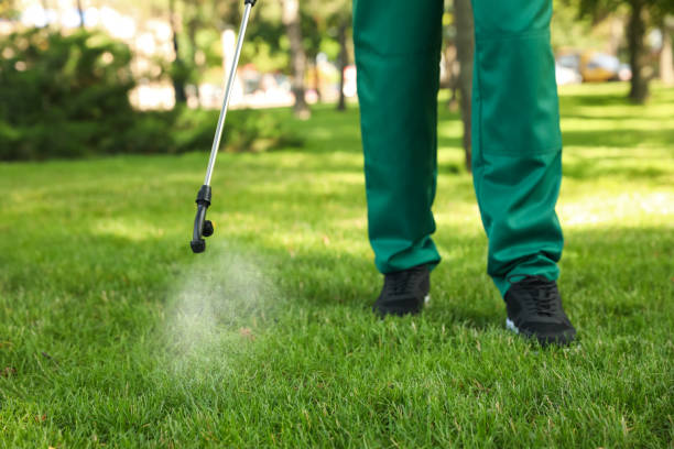 Best Pest Removal Services  in Caney, KS