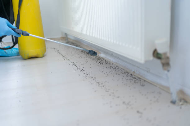 Pest Control Cost in Caney, KS