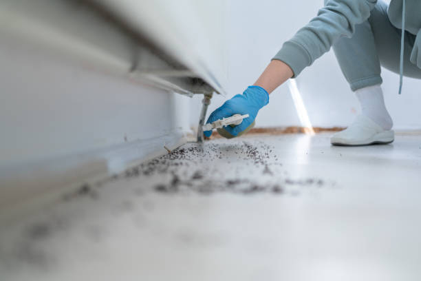 Best Exterminator Services  in Caney, KS