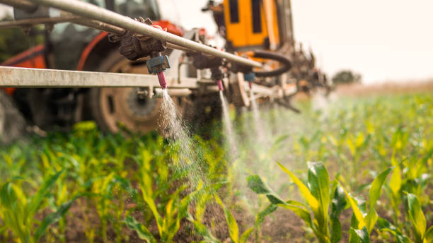 Pest Prevention Services in Caney, KS